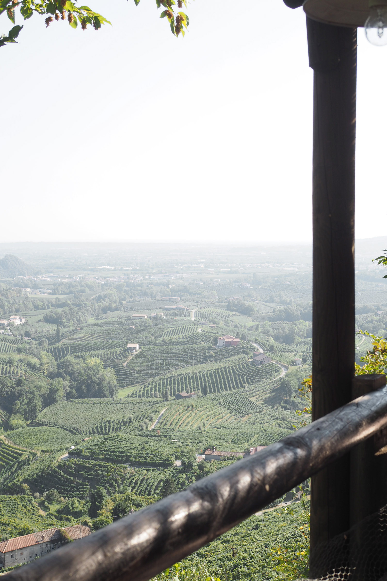 Char and the city - Wine trip to Valdobbiadene in Italy - Mionetto prosecco wineyeards - read more on the blog: //www.idealista.fi/charandthecity/2016/09/14/mionetto-prosecco-valdobbiadene #mionetto #mionettoprosecco #prosecco #wineyeard #winetasting #valdobbiadene #italy