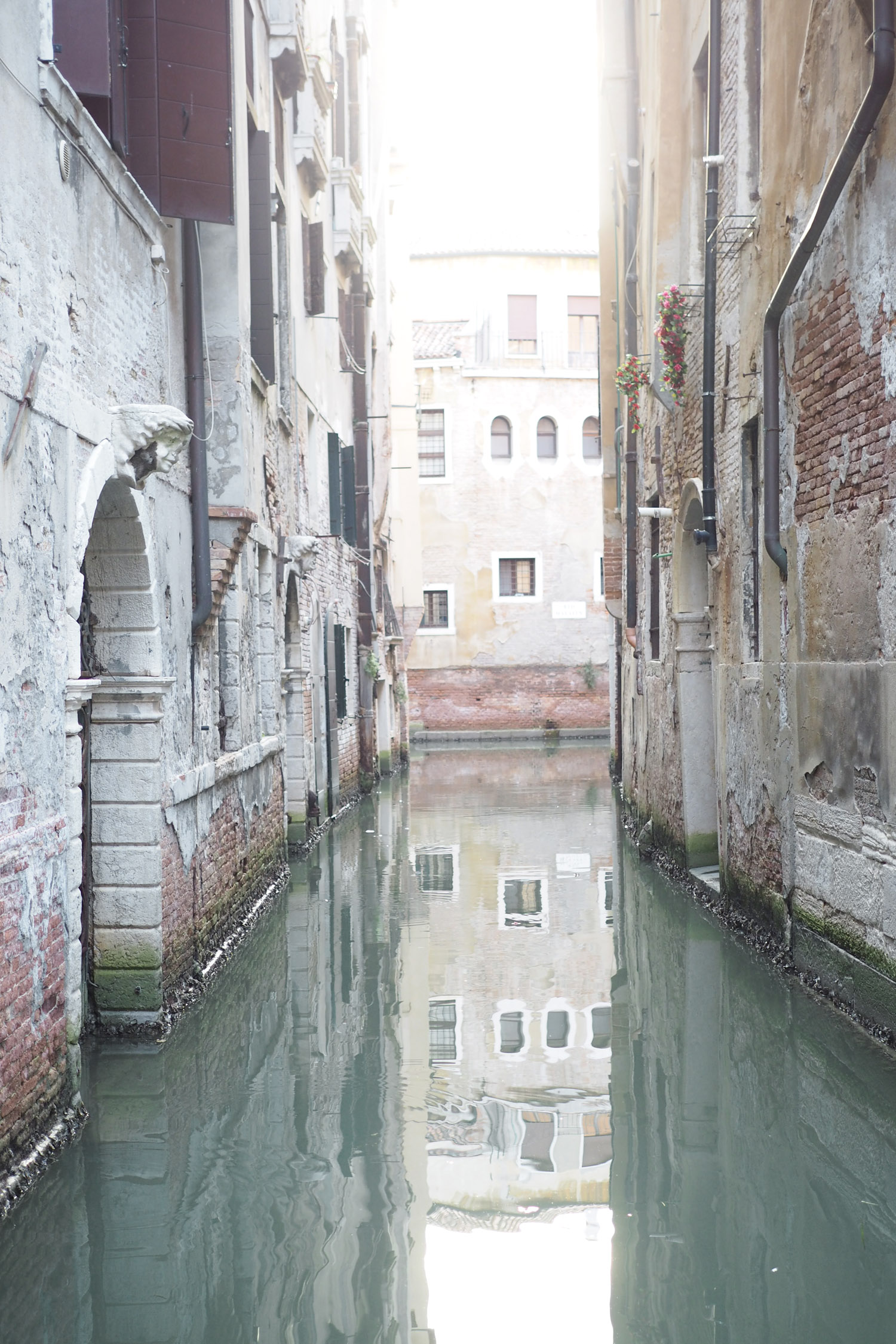 Char and the city - A day in Venice, Italy - the sinking city - travel tips: gondola ride, Bridge of Sights, Rialto Bridge, San Marco Square, Harry´s Bar and many more! Read on the blog: //www.idealista.fi/charandthecity/2016/09/11/matkavinkit-venetsia/
