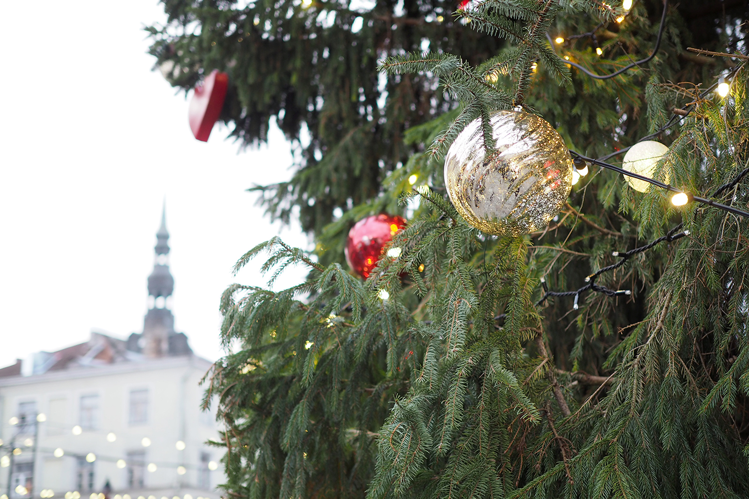 Char and the city, Tallinn, Estonia, Christmas market